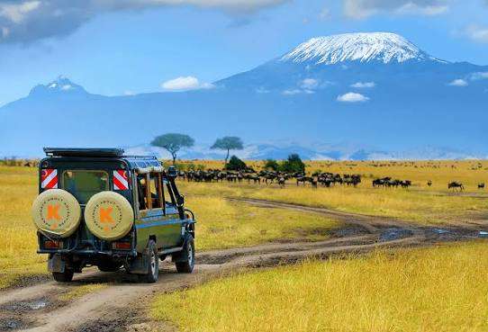 Tanzania landscape