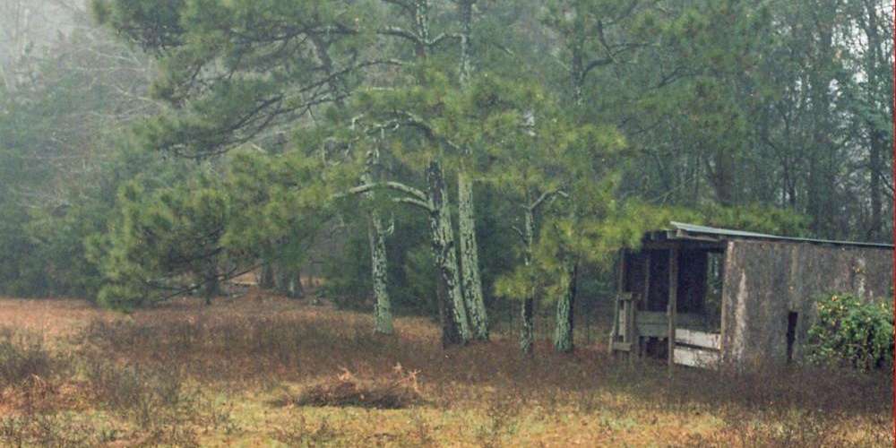 Georgia landscape