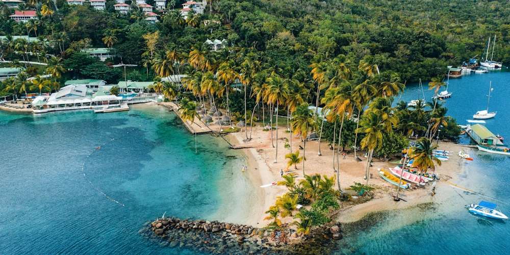 Saint Lucia landscape