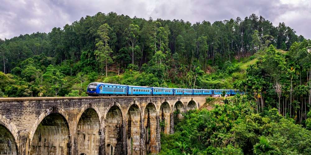 Sri Lanka landscape
